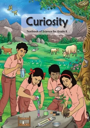 Curiosity Class 8 NCERT Textbook